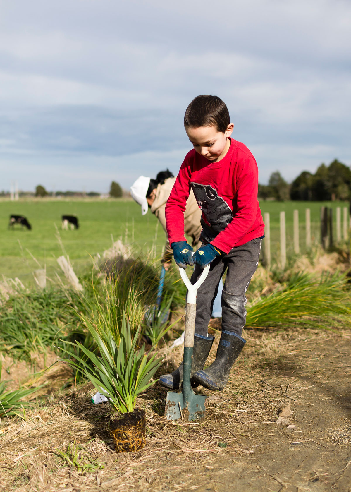 Accord-Community-Planting-feature