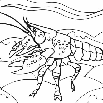 Colouring_in_Comp