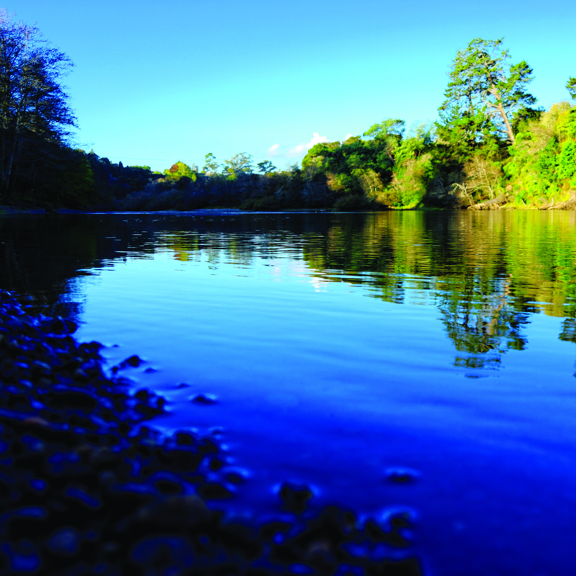 River Ecosystems