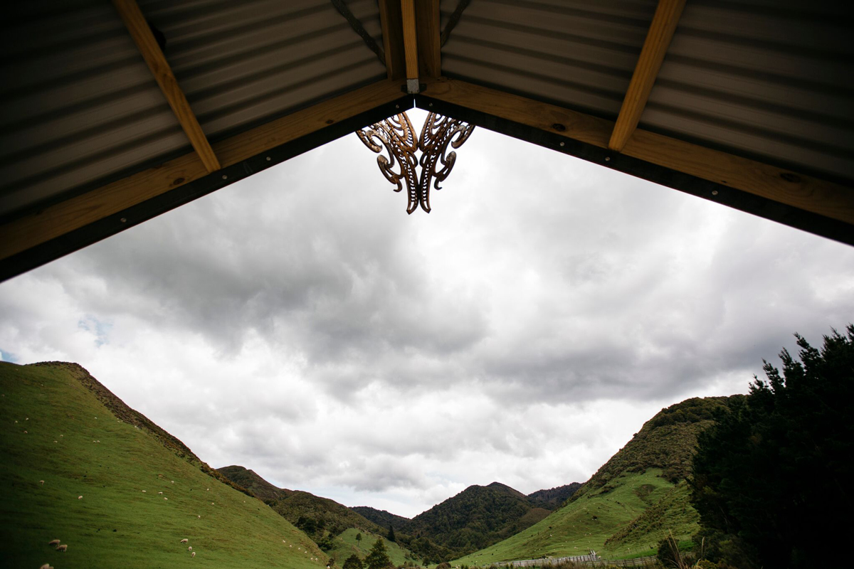 Tū Te Manawa project, Ngāmoko Whare, Manawatū River Road, Norsewood - carving detail