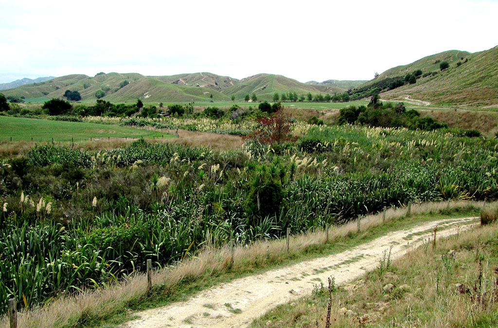 Kohinui Road Oxbow