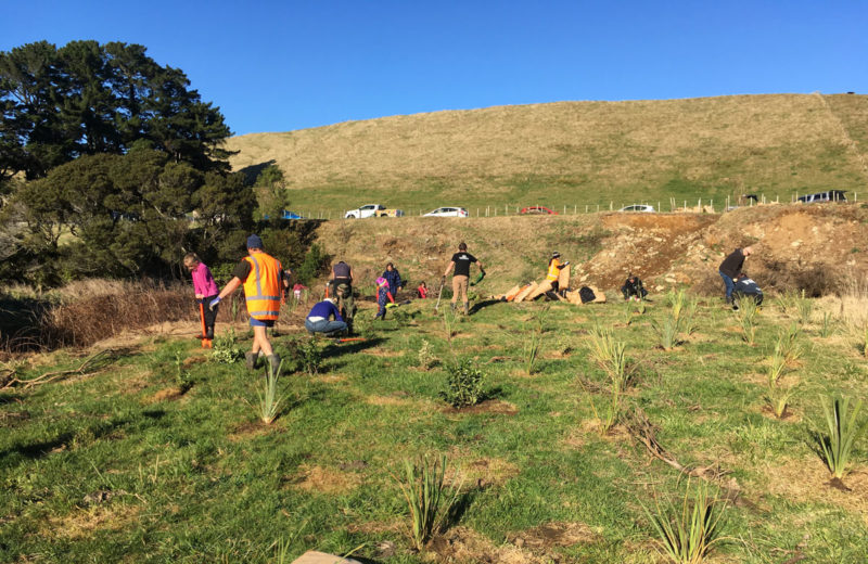Photo of planting day at Drysdale Farm on Manawatū River Valley Rd, June 2019