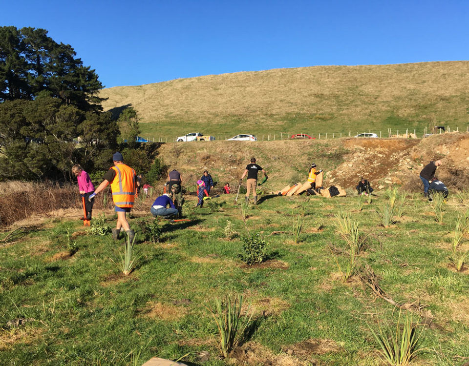 Photo of planting day at Drysdale Farm on Manawatū River Valley Rd, June 2019