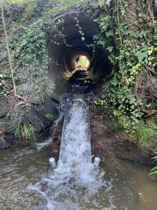 Stainless steel fish ramp baffle installation in existing culvert