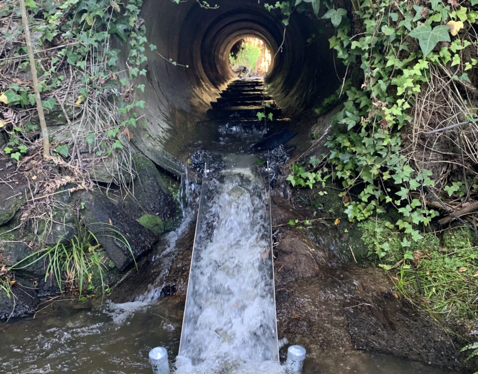 Stainless steel fish ramp baffle installation in existing culvert